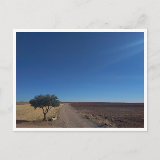 China (Spanien) Postkarte (Vorderseite)