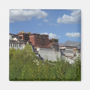 China, Tibet, Lhasa, Potala Palace 3 Magnet