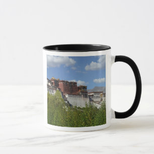 China, Tibet, Lhasa, Potala-Palast 3 Tasse