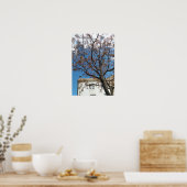 Chinaberry Tree in Lissabon Poster (Küche)