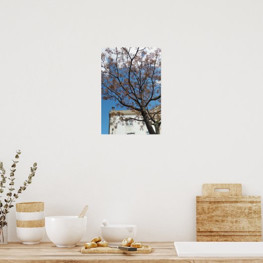 Chinaberry Tree in Lissabon Poster (Küche)