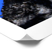 Chinaberry Tree Poster (Ecke)