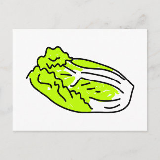 Chinakohl Postkarte