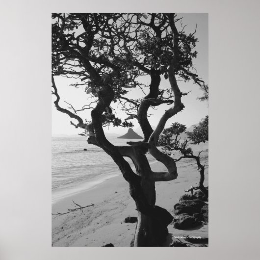 Chinaman-Hut Poster (Vorne)