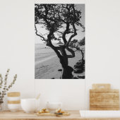 Chinaman-Hut Poster (Küche)