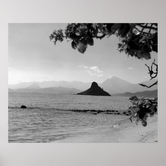 Chinamans Hat _bw Poster (Vorne)