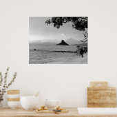 Chinamans Hat _bw Poster (Küche)