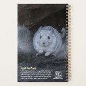 Chinchilla 2027 Planer (Rückseite)