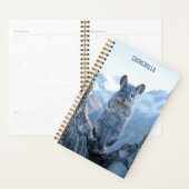 Chinchilla 2027 Planer (Anzeige)