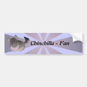 Chinchilla Autoaufkleber