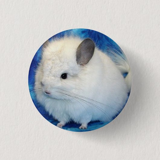 Chinchilla Button (Vorderseite)
