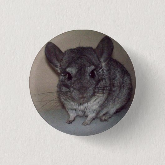 Chinchilla Button (Vorderseite)