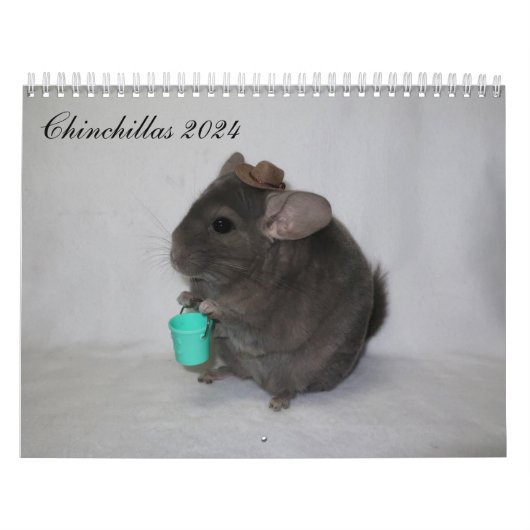 Chinchilla Calendar Kalender (Titelbild)