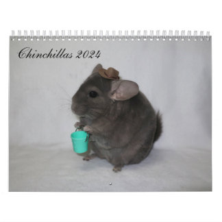 Chinchilla Calendar Kalender
