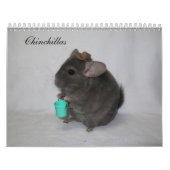 Chinchilla Calendar Kalender (Titelbild)