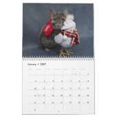 Chinchilla Calendar Kalender (Jan 2027)