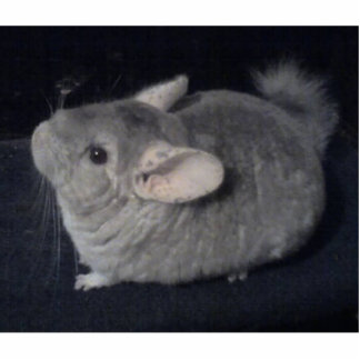 Chinchilla-geformter Schlüsselanhänger Fotoskulptur Schlüsselanhänger