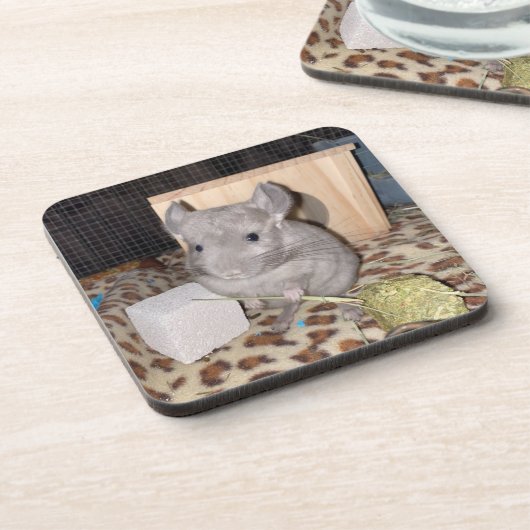 Chinchilla Getränkeuntersetzer (Linke Seite)