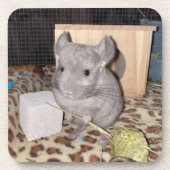Chinchilla Getränkeuntersetzer (Vorderseite)