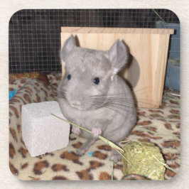 Chinchilla Getränkeuntersetzer