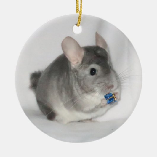Chinchilla Holding Keramik Ornament (Vorne)