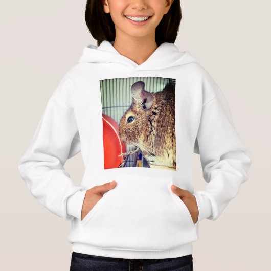 Chinchilla Hoodie (Vorderseite)