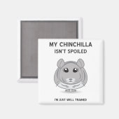 Chinchilla ist kein verwöhntes Magnet (Vorderseite/Rückseite)
