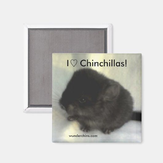 Chinchilla Liebe Magnet (Vorderseite/Rückseite)