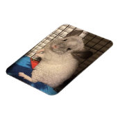 Chinchilla Magnet (Linke Seite)