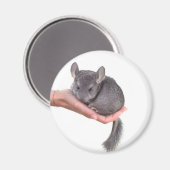 Chinchilla Magnet (Vorderseite/Rückseite)