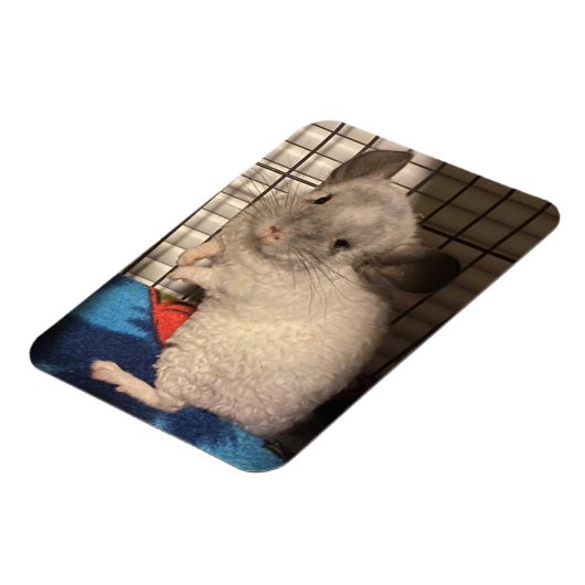 Chinchilla Magnet (Linke Seite)