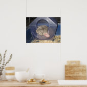 Chinchilla Mom holt ein paar Zzzz's Poster (Küche)