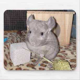 Chinchilla Mousepad