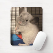 Chinchilla Mousepad (Mit Mouse)