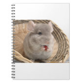 Chinchilla Notizblock (Vorderseite)