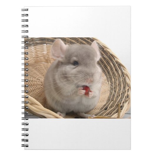 Chinchilla Notizblock (Vorderseite)