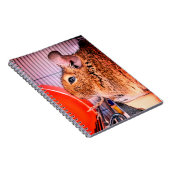 Chinchilla Notizblock (Rechte Seite)