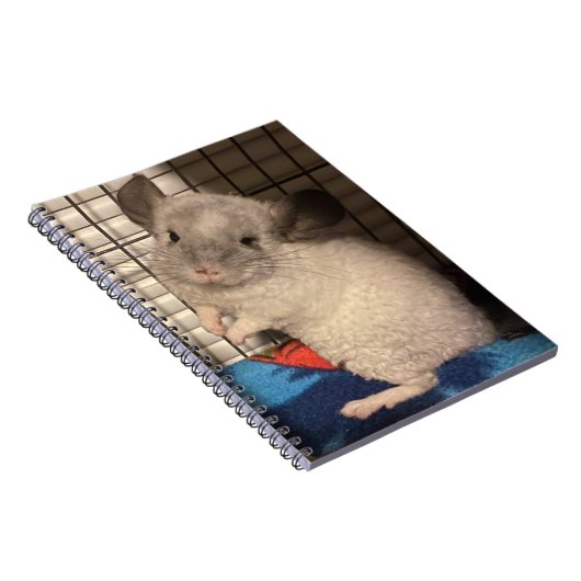 Chinchilla Notizblock (Rechte Seite)