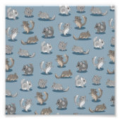 Chinchilla Pattern Fotodruck (Vorne)