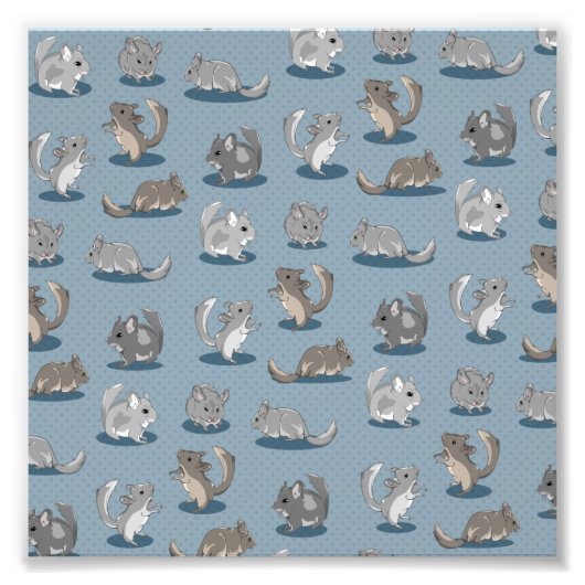 Chinchilla Pattern Fotodruck (Vorne)