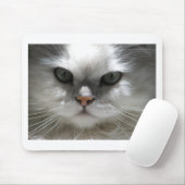 Chinchilla-persische Katze Mousepad (Mit Mouse)