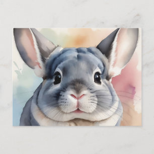 Chinchilla Portrait Postkarte