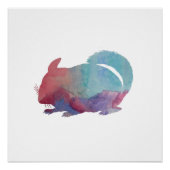 Chinchilla Poster (Vorderseite)
