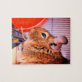 Chinchilla Puzzle (Horizontal)