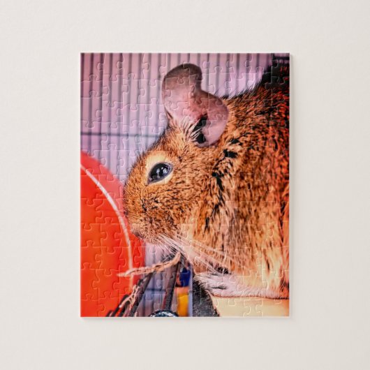 Chinchilla Puzzle (Vertikal)