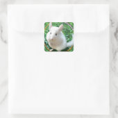 Chinchilla Quadratischer Aufkleber (Tasche)
