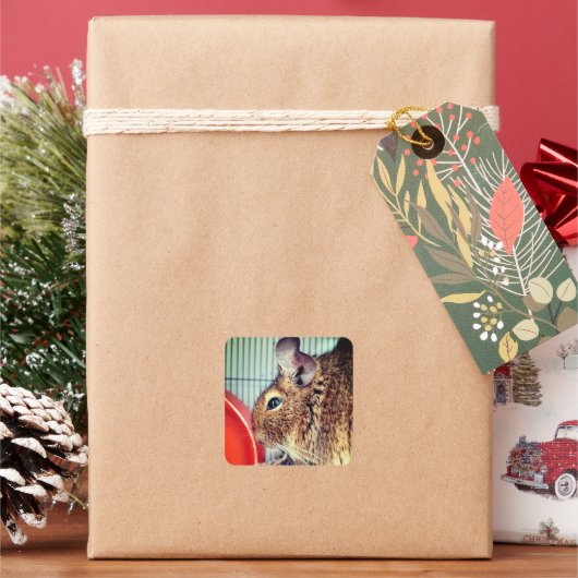 Chinchilla Quadratischer Aufkleber (Feiertag)