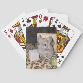 Chinchilla Spielkarten