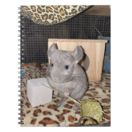 Chinchilla Spiral Foto Notebook Notizblock