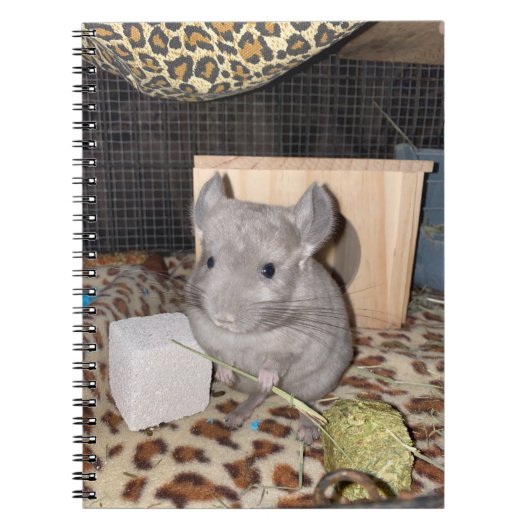 Chinchilla Spiral Foto Notebook Notizblock (Vorderseite)